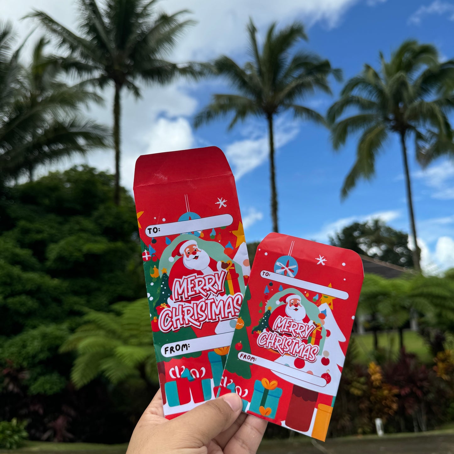 Christmas Money Envelope